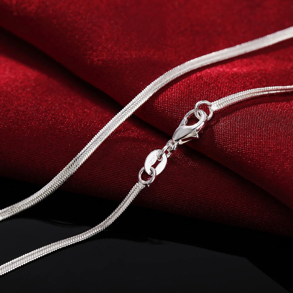 40-75cm Length 925 Sterling Si - 925 Sterling Silver Chain Necklace Men recension och pris