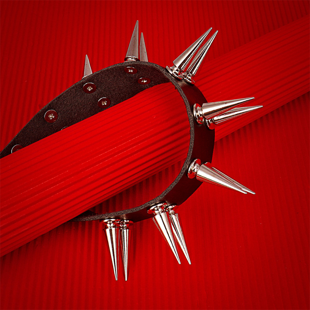 Long Spiked Choker Collar For  - Goth Punk Spike Choker recension och pris